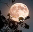de luna